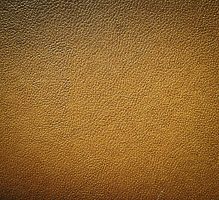 포토 JPG 해외이미지 동물 야생동물 조각 백그라운드 패턴 파충류 아프리카 자연 추상 저울 사람없음 컬러풀 갈색 노란색 유행 핸드백 직물 독약 거친 뱀 균열 고급 닫기 보호 가죽 열대우림 묘사 질감 육식동물 동물상 오싹 해외202004 해외포토 나라 컬러 컨셉 무늬 가방 모션 조형물 숲 생태계 파일형식 이미지허브