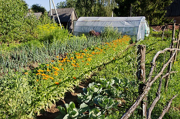 포토 JPG 해외이미지 주간 풍경 사람없음 야외 농장 맑음 비닐하우스 해외202004 해외포토 자연요소 농업 날씨 파일형식 이미지허브