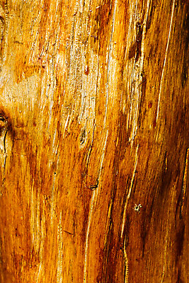 포토 JPG 해외이미지 모양 나무 식물 템플릿 선 조각 백그라운드 십자가 패턴 자연 탁자 프레임 미술 사람없음 목재 알약 갈색 우주 손상 반지 소나무 판넬 원형 균열 널 자르기 질감 레이아웃 통나무 나무껍질 뼈대 잡동사니 내추럴 단절 명패 수목 노화 해외202004 해외포토 도형 컬러 가구 컨셉 무늬 재료 장신구 모션 문화예술 약 껍질 생태계 파일형식 이미지허브