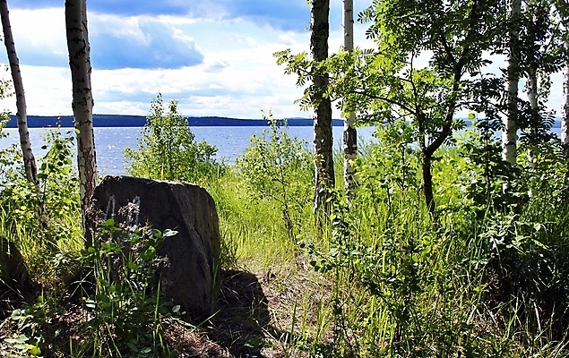 포토 JPG 해외이미지 식물 구름 계절 꽃 호수 자연 하늘 갈대 풍경 사람없음 야외 초록색 물 여름 파란색 햇빛 노란색 침묵 시골 습지 네덜란드 해외202004 해외포토 자연요소 유럽 컬러 태양 소리 생태계 파일형식 이미지허브