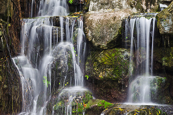 포토 JPG 해외이미지 나무 식물 공원 백그라운드 잎 모션 태국 자연 휴가 휴식 풍경 사람없음 초록색 물 강 놀람 봄 활발 폭포 젖음 흐름 성장 가을 신선 개울 숲 시원함 순수 즐거움 천국 이국적 파라다이스 해외202004 해외포토 자연요소 계절 공공시설 감정 아시아 컬러 컨셉 표정 생태계 파일형식 이미지허브