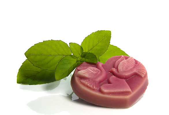 포토 JPG 해외이미지 모양 선 분홍색 조류 휴식 건강 그림자 선물 사랑 사람없음 초록색 장미 흰색 하트 민트 비둘기 비누 고립 해외202004 해외포토 동물 꽃 감정 컬러 컨셉 위생용품 허브 파일형식 이미지허브