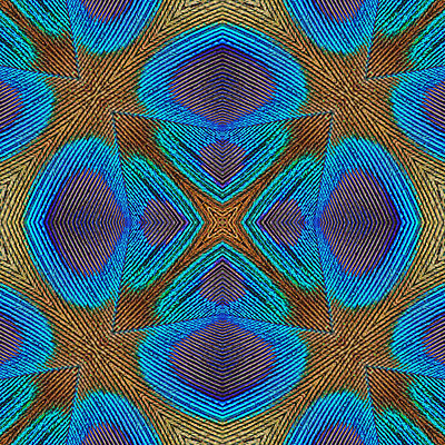 포토 JPG 해외이미지 동물 디자인 백그라운드 패턴 자연 조류 추상 사람없음 초록색 파란색 컬러풀 흰색 공작 깃털 묘사 질감 해외202004 해외포토 컬러 무늬 생태계 파일형식 이미지허브