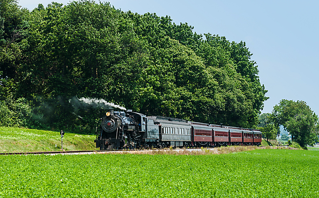 포토 JPG 해외이미지 주간 나무 풍경 초원 사람없음 야외 기차 증기기관차 해외202004 해외포토 자연요소 식물 육상교통 대중교통 파일형식 이미지허브