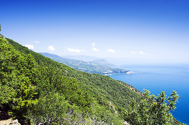 포토 JPG 해외이미지 바다 섬 곰 자연 하늘 휴가 산 파노라마 풍경 해변 사람없음 야외 물 여름 햇빛 반사 일출 바위 가장자리 정상 저녁 큼 고도 다이빙 장면 안심 고체 슬라이드 우크라이나 절정 해외202004 해외포토 자연요소 동물 계절 유럽 포유류 촬영기법 육류 태양 노을 수영 돌_바위 둘레 야간 크기 생태계 수중스포츠 파일형식 이미지허브