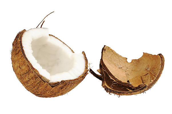 포토 JPG 해외이미지 음식 다이어트 과일 자연 건강 손바닥 사람없음 갈색 견과류 껍질 흰색 신선 자르기 날것 코코넛 깨짐 이국적 해외202004 해외포토 손 컬러 컨셉 모션 생태계 파일형식 이미지허브