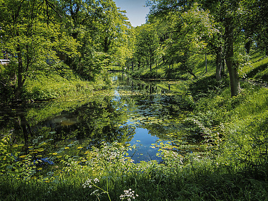 포토 JPG 해외이미지 나무 식물 공원 유럽 여행 백그라운드 자연 아침 덴마크 풍경 사람없음 야외 초록색 물 여름 강 환경 맑음 침묵 고요 활발 신선 도시 뜨거움 파라다이스 해외202004 해외포토 주간 자연요소 계절 공공시설 나라 컬러 컨셉 날씨 북유럽 소리 생태계 파일형식 이미지허브