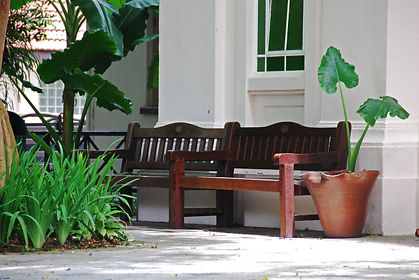 포토 JPG 해외이미지 공원 아시아 벤치 열대 사람없음 정원 해외202004 해외포토 공공시설 나라 의자 파일형식 이미지허브