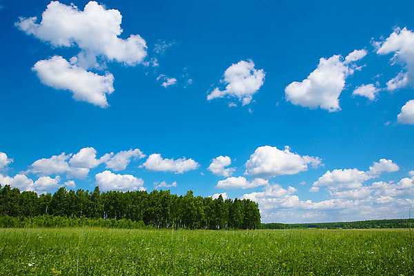 포토 JPG 해외이미지 주간 나무 식물 구름 계절 밭 자연 벽지 하늘 날씨 파노라마 풍경 사람없음 야외 공중 초록색 여름 파란색 햇빛 환경 흰색 시골 오픈 숲 땅 장면 지역 스카이라인 내추럴 생태학 수평선 해외202004 해외포토 자연요소 교육 컬러 농업 촬영기법 태양 생태계 파일형식 이미지허브