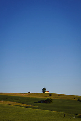 포토 JPG 해외이미지 나무 농업 자연 하늘 주택 풍경 사람없음 초록색 파란색 와인 이탈리아 시골 언덕 시골집 포도밭 포도나무 산기슭 양조장 줄서기 해외202004 해외포토 식물 유럽 산업 컬러 밭 모션 산 주류 건물 과일나무 생태계 파일형식 이미지허브