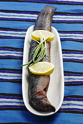 포토 JPG 해외이미지 음식 어류 요리 사람없음 장어 레몬 육식동물 길이 쪽파 해외202004 해외포토 동물 과일 수중동물 파 파일형식 이미지허브