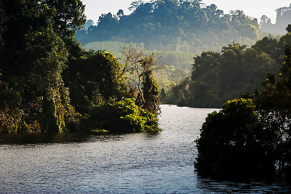 포토 JPG 해외이미지 나무 식물 계절 산업 아시아 호수 백그라운드 건축양식 태국 자연 하늘 아침 산 풍경 사람없음 야외 초록색 물 여름 파란색 강 햇빛 환경 힘 재활용 에너지 자유 역 숲 댐 장면 공학 유지 내추럴 수력발전 해외202004 해외포토 주간 자연요소 공공시설 교육 건축 나라 컬러 컨셉 교통시설 태양 발전 친환경 생태계 수력에너지 파일형식 이미지허브