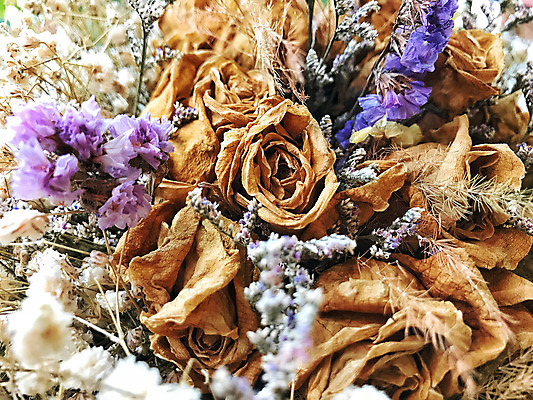 포토 JPG 해외이미지 식물 디자인 계절 꽃잎 꽃 리본 종이 줄기 꽃다발 백그라운드 잎 자연 표면 휴가 주택 건조 선물 사람없음 목재 장식 빨간색 여름 빛 장미 갈색 노란색 머리 우주 수확 벚꽃 가을 흰색 시골 죽음 인사 배열 심볼 질감 부드러움 내추럴 옛날 해외202004 해외포토 나무 컬러 농업 재료 건물 신체부위 예절 감각 생태계 파일형식 이미지허브