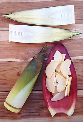 포토 JPG 해외이미지 조각 잎 단면 실내 사람없음 하이앵글 자르기 죽순 나무배경 해외202004 해외포토 식물 뷰포인트 백그라운드 모션 내부 파일형식 이미지허브