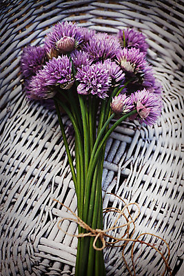 포토 JPG 해외이미지 식물 디자인 계절 공원 꽃 분홍색 백그라운드 컨셉 꽃무늬 밭 자연 아침 부활절 풍경 잔디 사람없음 야외 아웃포커스 초록색 여름 빛 햇빛 태양 바구니 환경 정원 보라색 봄 성장 벚꽃 광선 시골 허브 보케 장면 내추럴 쪽파 해외202004 해외포토 주간 자연요소 공공시설 기념일 컬러 무늬 농업 촬영기법 생태계 파 파일형식 이미지허브