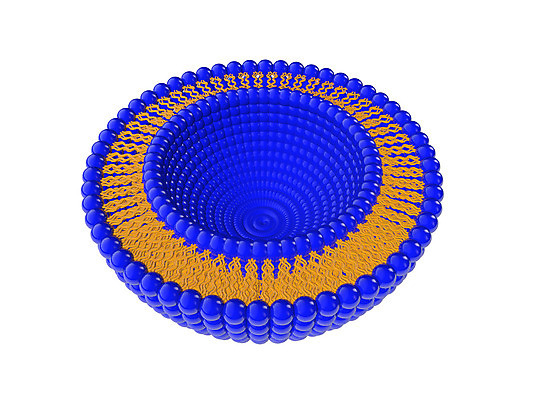 포토 JPG 해외이미지 해부 세포 사람없음 약 DNA 시스템 층 단백질 오메가 해외202004 해외포토 의학 생명공학 영양소 파일형식 이미지허브