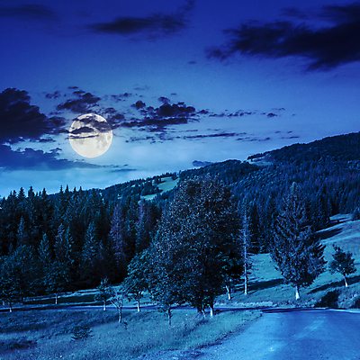 포토 JPG 해외이미지 나무 하늘 풍경 사람없음 야외 파란색 보름달 달 야간 해외202004 해외포토 자연요소 식물 컬러 파일형식 이미지허브