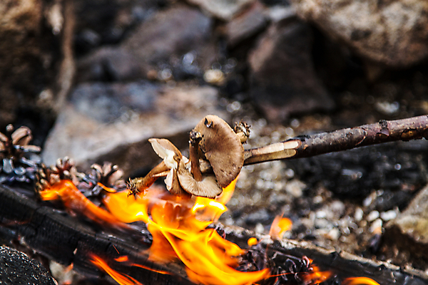 포토 JPG 해외이미지 주간 불꽃 사람없음 야외 뜨거움 위험 장작 모닥불 바비큐 석탄 재 해외202004 해외포토 자연요소 음식 컨셉 불 파일형식 이미지허브
