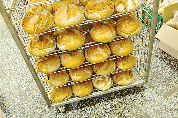 포토 JPG 해외이미지 빵 공장 쟁반 실내 사람없음 카트 저장 진열장 일렬 해외202004 해외포토 음식 공업 내부 파일형식 이미지허브