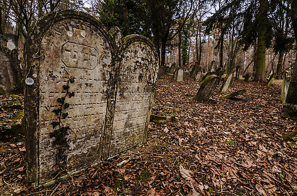 포토 JPG 해외이미지 꽃 기독교 종교 지구 백그라운드 십자가 부활절 사람없음 목재 조각상 검은색 성경 바위 기도 죽음 예수 영혼 목사 심볼 애도 신성 땅파기 신앙심 옛날 장례식 오싹 해외202004 해외포토 나무 식물 기념일 컬러 재료 종교용품 조형물 신_종교 성직자 파일형식 이미지허브