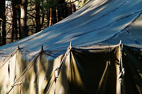 포토 JPG 해외이미지 나무 공원 스포츠 여행 밭 자연 아침 모바일 휴가 휴식 텐트 사람없음 야외 초록색 여름 빛 태양 환경 시골 소나무 황무지 숲 탈출 캠핑장 군용 캔버스 장면 주말 변장 내추럴 전국 차양 생존 해외202004 해외포토 주간 자연요소 식물 계절 공공시설 컬러 컨셉 농업 군대 캠핑도구 캠핑 생태계 파일형식 이미지허브