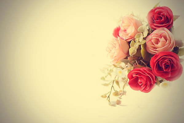 포토 JPG 해외이미지 식물 꽃잎 꽃 분홍색 결혼 백그라운드 꽃무늬 자연 추상 불꽃 발렌타인데이 선물 사람없음 빨간색 빛 장미 노란색 스파 봄 수확 벚꽃 축하 인사 신용카드 우아함 달콤 소프트포커스 숲 다발 질감 부드러움 내추럴 강렬 파스텔톤 해외202004 해외포토 계절 컬러 컨셉 무늬 농업 데이이벤트 불 촬영기법 이벤트 금융 예절 감각 맛 생태계 파일형식 이미지허브