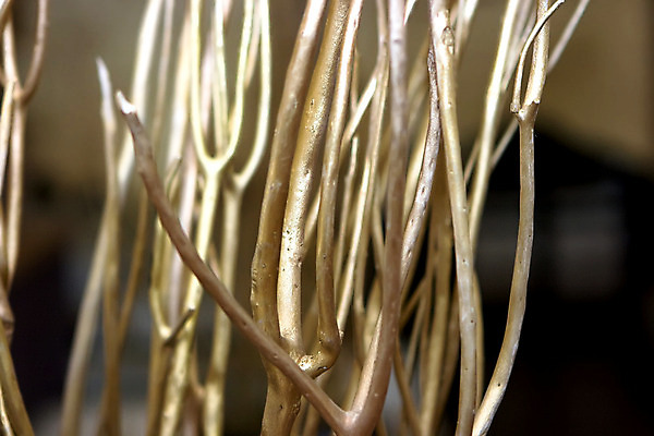 포토 JPG 해외이미지 식물 디자인 건조 사람없음 장식 가로 나뭇가지 죽음 해외202004 해외포토 나무 파일형식 이미지허브