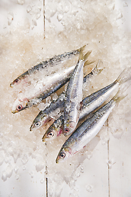 포토 JPG 해외이미지 식재료 실내 사람없음 얼음 신선 멸치 앤초비 나무배경 해외202004 해외포토 자연요소 백그라운드 어류 내부 파일형식 이미지허브