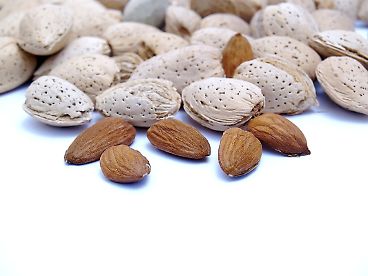 포토 JPG 해외이미지 나무 식물 음식 백그라운드 잎 다이어트 과일 재료 자연 건강 씨앗 사람없음 갈색 정원 봄 견과류 대접 개화 그룹 달콤 맛 설탕 굽기 먹기 소금 아몬드 내추럴 단백질 식용 절임 혼자 해외202004 해외포토 계절 꽃 컬러 컨셉 모션 구이 생태계 영양소 파일형식 이미지허브