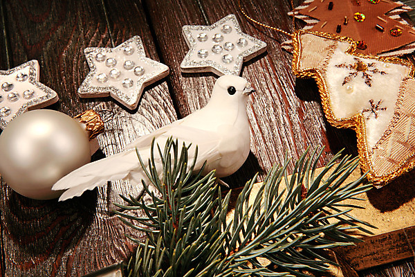 포토 JPG 해외이미지 나무 전통 계절 별 백그라운드 크리스마스 겨울 공 휴가 새로움 새해 기념 사람없음 목재 장식 축제 흰색 나뭇가지 축하 12월 자르기 수집 연도 오브젝트 비둘기 전나무 구성 노엘 해외202004 해외포토 자연요소 식물 기념일 컬러 컨셉 재료 모션 조류 날짜 파일형식 이미지허브