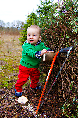 포토 JPG 해외이미지 나무 어린이 크리스마스 휴가 한명 사람 소년 야외 빨간색 초록색 농장 아기 신선 떨어짐 자르기 걸음마 해외202004 해외포토 식물 1 기념일 남자 컬러 컨셉 농업 모션 파일형식 이미지허브
