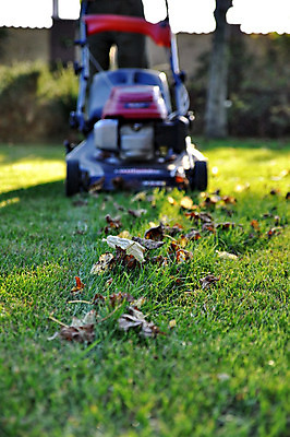 포토 JPG 해외이미지 식물 직업 공원 밭 자연 노동자 잔디 취미 사람없음 야외 빨간색 초록색 정원 기계 장비 성장 가을 도구 공구 업무 칼날 자르기 원예 엔진 모터 유지 돌봄 땅바닥 원예사 커터 해외202004 해외포토 계절 공공시설 컬러 농업 모션 바닥 작업 생태계 파일형식 이미지허브