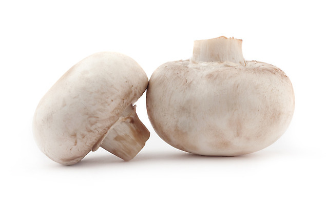 포토 JPG 해외이미지 음식 백그라운드 채소 재료 사람없음 반사 버섯 흰색 신선 수집 먹기 오브젝트 유기농 고립 숙성 식용 채식주의자 해외202004 해외포토 웰빙 컬러 모션 채식 파일형식 이미지허브
