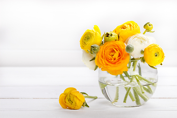 포토 JPG 해외이미지 기념일 꽃 행복 꽃다발 백그라운드 꽃무늬 텍스트 자연 엄마 휴가 친절 선물 사랑 사람없음 장식 초록색 여름 노란색 우주 꽃병 봄 수확 하트 인사 신용카드 생일 개화 메시지 닫기 다발 복고 감사 향기 해외202004 해외포토 모양 식물 계절 감정 컬러 무늬 농업 가족 모션 이벤트 금융 예절 생태계 냄새 파일형식 이미지허브