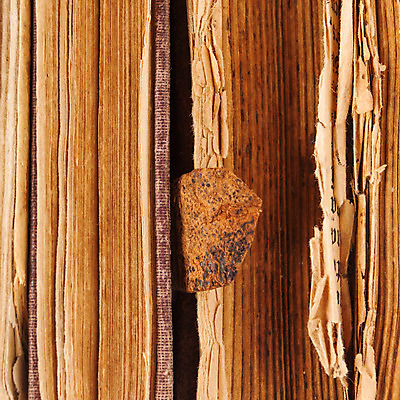 포토 JPG 해외이미지 종이 길 백그라운드 텍스트 날씨 프레임 미술 사람없음 장식 책 갈색 검은색 손상 수확 골동품 덮개 직물 얼룩 오픈 거친 역사 재산 도서관 척추 고민 질감 캔버스 문학 페이지 양장본 한조각 구김 구식 그런지 넘어짐 썩음 옛날 중고 해외202004 해외포토 1 교육 감정 컬러 컨셉 농업 모션 문화예술 뼈 금융 뚜껑 파일형식 이미지허브