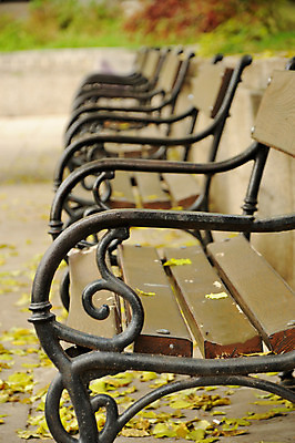 포토 JPG 해외이미지 나무 계절 공원 길 단풍 잎 벤치 의자 오렌지 자연 휴식 앉기 풍경 사람없음 야외 목재 빨간색 초록색 갈색 노란색 걷기 정원 침묵 봄 가을 도시 기다림 고독 숲 11월 은퇴 싱글 멀리 10월 내추럴 노화 해외202004 해외포토 식물 공공시설 감정 컬러 가구 컨셉 과일 재료 모션 소리 날짜 생태계 파일형식 이미지허브