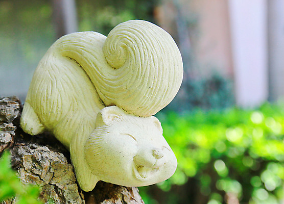 포토 JPG 해외이미지 나무 식물 공원 도로 조각 잎 자연 미소 사람없음 야외 장식 초록색 여름 조각상 정원 봄 바위 흰색 숲 묘사 오브젝트 다람쥐 점토 천연기념물 석고 해외202004 해외포토 계절 공공시설 길 컬러 교통시설 표정 조형물 돌_바위 설치류 생태계 파일형식 이미지허브