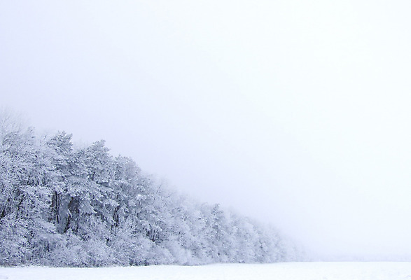 포토 JPG 해외이미지 나무 백그라운드 크리스마스 겨울 사람없음 얼음 화환 침묵 폭포 추위 흰색 축하 숲 편지 서리 신성 해외202004 해외포토 자연요소 식물 계절 기념일 꽃 컬러 컨셉 자연 소리 파일형식 이미지허브