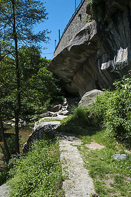 포토 JPG 해외이미지 나무 잎 자연 풍경 사람없음 초록색 환경 안개 성장 가을 숲 장면 해외202004 해외포토 식물 계절 컬러 날씨 생태계 파일형식 이미지허브