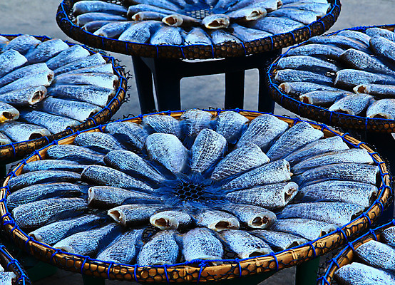 포토 JPG 해외이미지 동물 전통 음식 파도 바다 섬 백그라운드 패턴 다이어트 태국 낚시 건조 건강 육류 어류 요리 동양인 사람없음 목재 여름 태양 바구니 크래커 마을 중국 펼침 시골 죽음 잡기 시장 플랫 맛 은색 자르기 배열 먹기 해산물 남쪽 단백질 해외202004 해외포토 자연요소 나무 계절 아시아 컬러 컨셉 무늬 식재료 재료 모션 레저 인종 쿠키 수중동물 방향 영양소 파일형식 이미지허브