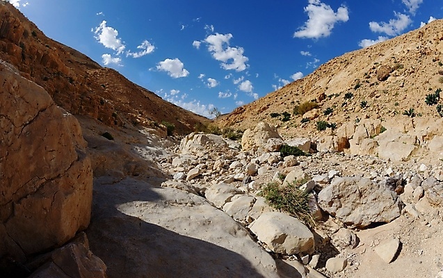 포토 JPG 해외이미지 식물 모래 벽 곡선 오렌지 중동 자연 하늘 날씨 바닥 건조 풍경 경사 사람없음 야외 여름 파란색 컬러풀 노란색 환경 골짜기 계곡 봄 사막 바위 개울 언덕 사암 이스라엘 해외202004 해외포토 계절 나라 선 컬러 과일 강 돌_바위 생태계 서아시아 파일형식 이미지허브