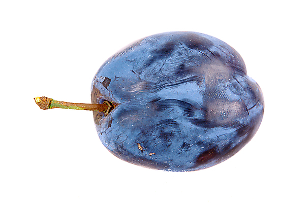 포토 JPG 해외이미지 식물 1 열매 음식 백그라운드 잎 과일 디저트 건강 사람없음 파란색 보라색 흰색 신선 닫기 달콤 오브젝트 유기농 자두 내추럴 고립 숙성 채식주의자 해외202004 해외포토 웰빙 컬러 모션 맛 채식 파일형식 이미지허브