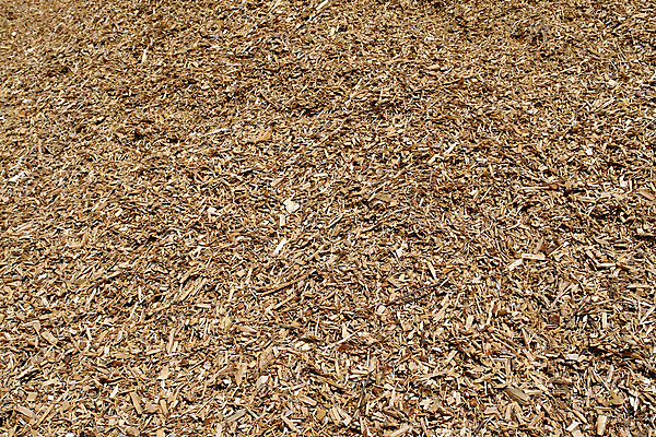 포토 JPG 해외이미지 나무 종이 백그라운드 자연 취미 사람없음 목재 갈색 쌓기 정원 나뭇가지 뜨거움 거친 숲 땅 자르기 원예 질감 먼지 난방 흙더미 방앗간 연소 해외202004 해외포토 식물 컬러 재료 모션 흙 생태계 파일형식 더미 이미지허브