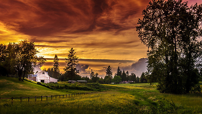 포토 JPG 해외이미지 나무 식물 계절 꽃 줄기 캐나다 밭 하늘 그림자 잔디 사람없음 초록색 여름 울타리 햇빛 태양 노란색 환경 계곡 어둠 황혼 일몰 봄 새벽 안개 벚꽃 시골 숲 초승달 민들레 크리스탈 허브 지역 외양간 웅장함 수평선 해외202004 해외포토 자연요소 컬러 북아메리카 농업 날씨 담장 노을 달 광석 파일형식 이미지허브