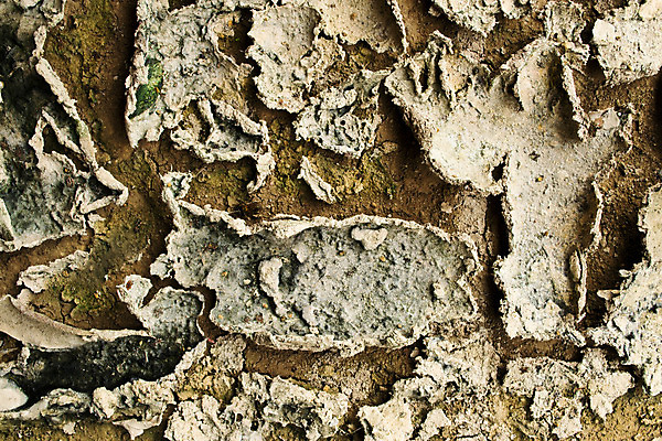 포토 JPG 해외이미지 지구 모래 백그라운드 패턴 자연 표면 건조 사람없음 글로벌 갈색 환경 흙 뜨거움 거친 황무지 균열 브레이크 땅 눈물 묘사 부식 질감 먼지 점토 지역 가뭄 다리찢기 깨짐 땅바닥 생태학 지리 지질학 해외202004 해외포토 교육 감정 컬러 컨셉 무늬 모션 날씨 바닥 생태계 파일형식 이미지허브