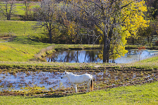 포토 JPG 해외이미지 나무 계절 호수 잎 오렌지 자연 휴식 따뜻함 사람없음 빨간색 물 빛 반사 노란색 정원 가을 연못 해외202004 해외포토 자연요소 식물 컬러 컨셉 과일 생태계 파일형식 이미지허브
