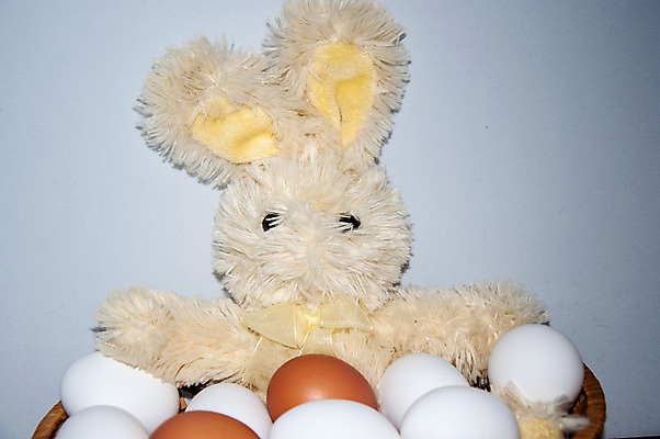 포토 JPG 해외이미지 동물 전통 디자인 계절 행복 기독교 종교 음식 십자가 휴가 부활절 이야기 선물 미술 사람없음 장식 빛 교회 바구니 믿음 계란 성경 봄 흰색 축하 토끼 예수 계획 4월 심볼 신성 신앙심 해외202004 해외포토 기념일 감정 컬러 컨셉 종교용품 포유류 문화예술 반려동물 알 신_종교 날짜 파일형식 이미지허브