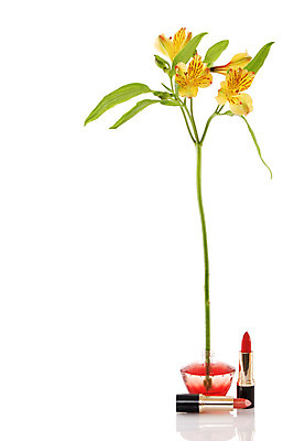 포토 JPG 해외이미지 라이프스타일 여자 꽃 백그라운드 자연 유리 휴식 건강 선물 사람없음 빨간색 반사 유행 목욕 화장품 립스틱 신선 액체 고급 향수 순수 피부관리 향기 냄새 아로마 공상 아로마테라피 내추럴 고립 돌봄 수분크림 에센스 위생관리 쾰른 해외202004 해외포토 식물 컬러 컨셉 모션 재질 독일 관리 사람 생활 뷰티 청결 생태계 테라피 파일형식 이미지허브