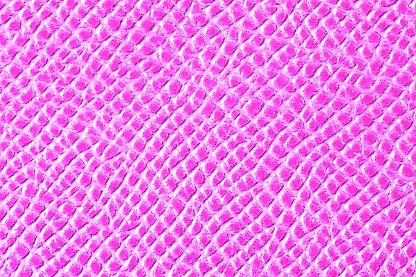 포토 JPG 해외이미지 동물 디자인 옷 종이 분홍색 백그라운드 패턴 자연 벽지 표면 날씨 추상 사람없음 파란색 장미 갈색 유행 우주 어둠 수확 직물 거친 주름 고급 선탠 낟알 바느질 가죽 피부 묘사 질감 눈금 복고 부드러움 결 숨김 내추럴 소가죽 옛날 인공 효과 해외202004 해외포토 꽃 컬러 컨셉 무늬 농업 신체부위 감각 생태계 파일형식 이미지허브