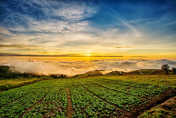 포토 JPG 해외이미지 나무 구름 별 과학 태국 하늘 아침 날씨 산 풍경 사람없음 여름 파란색 글로벌 햇빛 태양 일출 힘 침묵 황혼 일몰 새벽 재활용 행성 사막 에너지 달 변화 정상 야간 상승 하와이 자원 유지 되감기 수평선 해외202004 해외포토 주간 자연요소 식물 계절 아시아 컬러 컨셉 우주 노을 미국 소리 친환경 파일형식 이미지허브